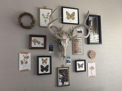 Oddities gallery wall Oddities Living Room, Oddities Decor Bedroom, Oddities Wall Decor, Entomology Nursery, Oddity Gallery Wall, Oddity Wall, Diy Photo Wall Decor, Oddities Wall, Oddities Display