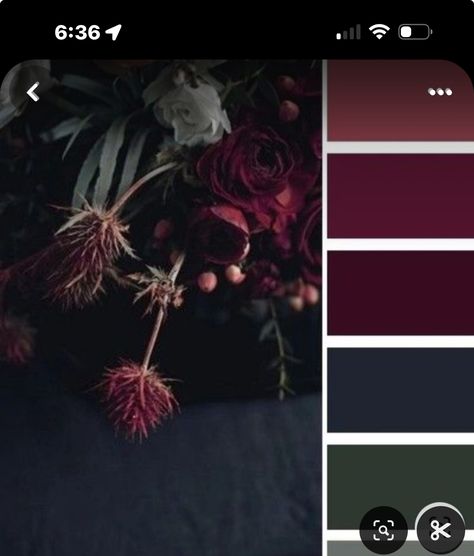 Dark Wedding Colour Palettes, Dark Hunter Green Color Palette, Jeweled Color Palette, Dark Acedamia Color Pallet, Colors That Compliment Forest Green, Feminine Bedroom Ideas Colour Schemes, Wedding Ideas Dark Color Schemes, Dusk Color Palette Wedding, Moody Pallete Color