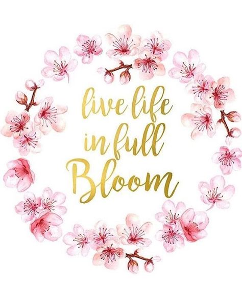 Be the superb and strong woman we know you are.  : @lgh35 . . . #fullbloom #flowerpower #positivequotes #femalelove #femalequotes #womenlove #selfcare #selflove #pregnancy #pregnancyspecialists #pregnant #highriskpregnancy #babylove #positivity Inspirational Quote Prints, Live Life In Full Bloom, Looks Kylie Jenner, Floral Quotes, Spring Quotes, Garden Quotes, Flower Printable, Flowers Wallpaper, Flower Quotes