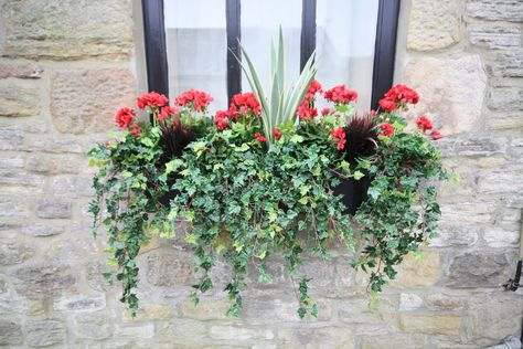 Artificial Red Geranium Window Box Plant Office Design, Ivy Plant Indoor, Artificial Flowers Outdoors, Artificial Plant Arrangements, Fake Window, Artificial Plants Decor, Box Flowers, Artificial Plants Indoor, Window Box Flowers