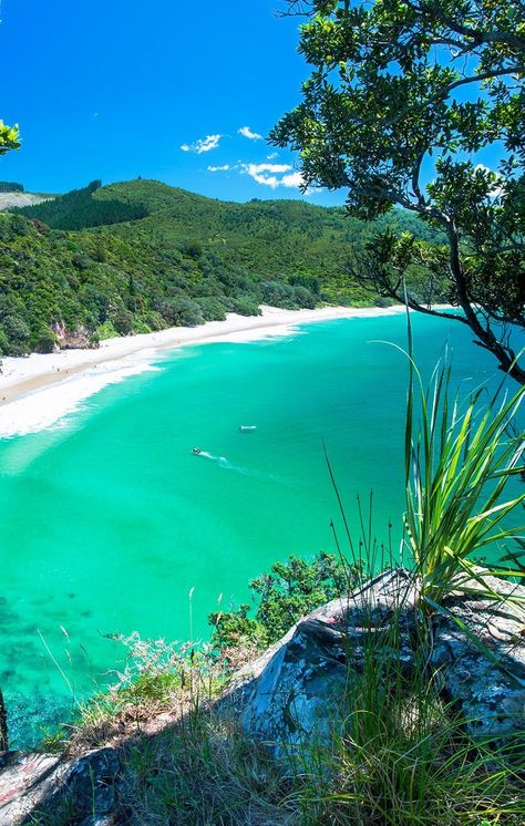 Coromandel Peninsula, Strand Wallpaper, New Zealand Beach, New Zealand South Island, Beach Wallpaper, New Zealand Travel, Most Beautiful Beaches, Queenstown, Beach Holiday