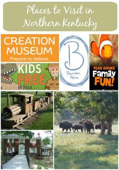 Visiting Northern Kentucky?  Here is a list several popular activities that are either free or reasonably priced in the area. Kentucky Louisville, Newport Ky, Kentucky Attractions, Kentucky Vacation, Creation Museum, Family Traveling, Kentucky Travel, Staycation Ideas, Girlfriends Getaway