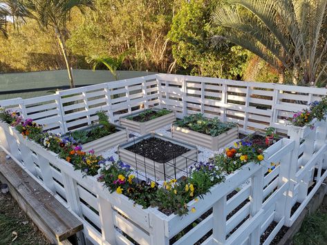 Pallet Projects Garden, Diy Garden Fence, Garden Wallpaper, Garden Area, Pallet Garden, Pallets Garden, Home Vegetable Garden, Garden Yard Ideas, Vegetable Garden Design