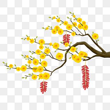 Vietnamese New Year, Spring Flowers Background, Digital Graphics Art, Doddle Art, Apricot Blossom, Spring Clipart, Celebration Background, Cherry Blossom Background, Doodle Icon