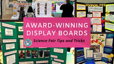 Learn how to create a professional looking science fair board before. We will show the supplies, layout, and tips for wowing the judges! How To Make A Science Fair Display Board, Science Fair Display Board Ideas, Science Fair Board Ideas, Science Fair Boards, Science Fair Board Layout, Fourth Grade Science Projects, Plant Science Fair Projects, Slime Science Fair Project, Erosion Lab