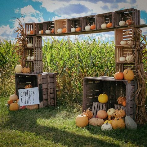 Corn Festival Decor, Farm Photo Op Board, Corn Maze Halloween Decorations, Pumpkin Festival Decorations, Fall Pumpkin Displays Outside, Pumpkin Patch Display Ideas, Diy Corn Maze, Fall Festival Decorations Outdoor, Fall Farm Activities