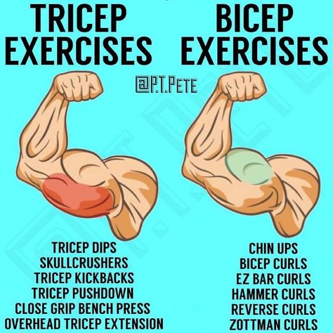 Workout Ideas on Instagram: “💪How to Build Bigger Arms by @p.t.pete 💪” Reverse Curls, Overhead Tricep Extension, Tricep Pushdown, Big Arms, Tricep Kickback, Getting Stronger, How To Get Bigger, Bigger Arms, Hammer Curls