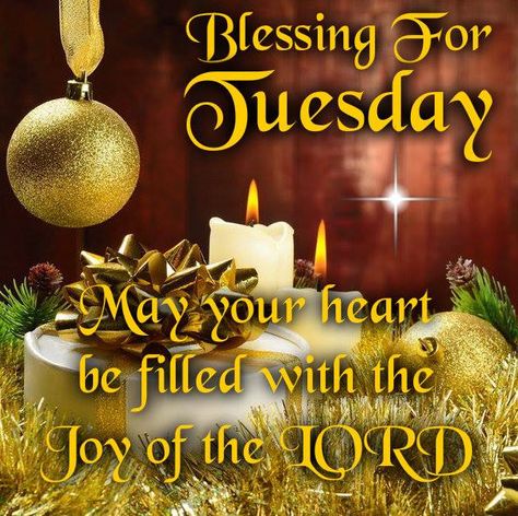 Good Morning Everyone, Happy Tuesday!! I pray that you have a safe, happy and blessed day. Tuesday Morning Blessings, Christmas Tuesday, Tuesday Christmas, Blessed Tuesday, Hump Day Humor, Tuesday Quotes Good Morning, Tuesday Greetings, Psalm 103, Tuesday Blessings