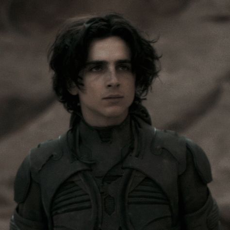 Dune Timothee Chalamet, Dune Timothee, Dune Film, Cute Dreads, Paul Atreides, Denis Villeneuve, Timmy T, Regulus Black, The Perfect Guy