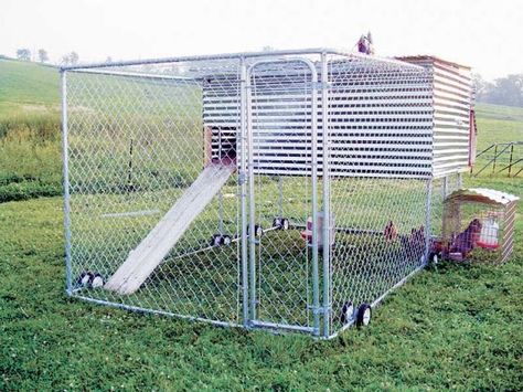 Chicken coop in a dog kennel Movable Chicken Coop, Portable Dog Kennels, Chicken Coop Kit, Mobile Chicken Coop, Amish Chicken, Chicken Barn, Wooden Dog Kennels, Portable Chicken Coop, Chicken Tractors