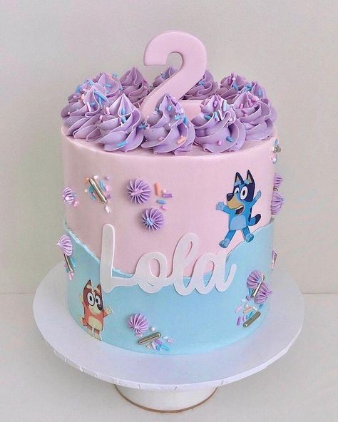 Bluey Cake 2nd Birthday, Bluey Cake Pink, 6th Birthday Girl Cake, Bluey Birthday Ideas Girl, 2nd Birthday Party For Girl Bluey, Bluey Smash Cake For Girl, Pink Bluey Birthday Cake, Bluey Cake Ideas Easy, Bluey Cake Ideas For A Girl