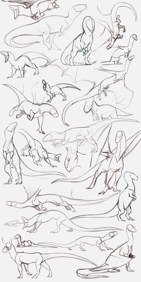 Animal Base Sketch, Dragon Growth Stages, Dragon Running Reference, Flipping Someone Off Reference, Dragon Concept Art Design Reference, Wyvern Art Reference, Dragon Laying Down Reference, Dragon Looking Down, Dragon Comic Art