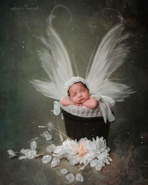 Newborn Angel Photography, Newborn Fairy Photoshoot, Fairy Newborn Photography, Fairy Photos, Selfie Studio, Parents Photography, Baby Mommy, Fairy Photoshoot