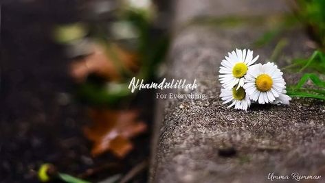 Girly Facebook Cover Photos, Islam Cover Photo, Islamic Youtube Cover Photo, Beautiful Cover Photos Facebook, Girly Cover Photos Facebook, Islamic Cover Photo Facebook, Facebook Profile Picture Image, Islamic Cover Photo, Cover Photos For Fb