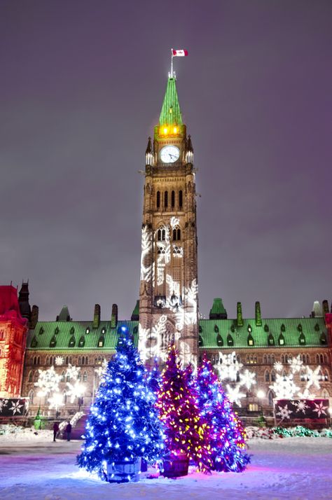 Parliament buildings in Ottawa, Canada all ready for Christmas and the holiday season | Image by Michel Loiselle Giant Snowflakes, Canadian Parliament, Christmas Canada, Ottawa Travel, Canada Christmas, Christmas Destinations, Canada Eh, Capital Cities, Canada Destinations