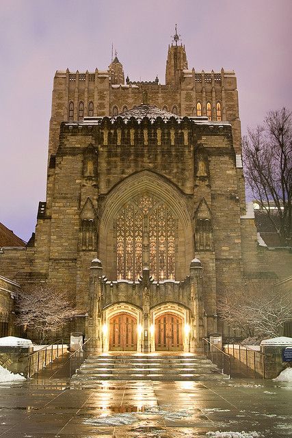 Yale University.....When I lived in New Haven, I would wander around by myself for hours. It never ceased to amaze me. New England States, Dream College, Dream School, University Life, Yale University, College Campus, University Campus, New Haven, Law School