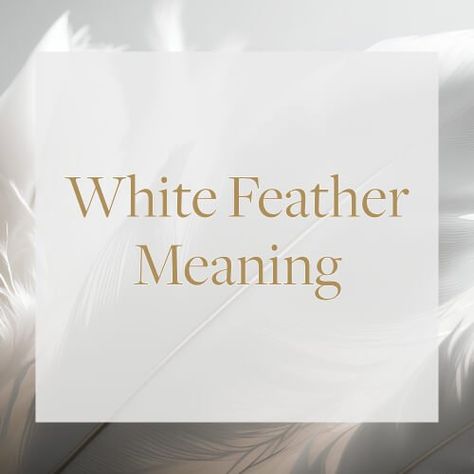 White Feather Meaning White Feather Meaning, Feather Symbolism, Witchy Business, Feather Meaning, Signs From The Universe, Tarot Card Readers, Psychic Medium, Dream Meanings, White Feather