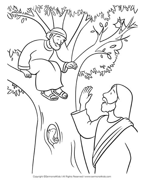 Jesus And Zacchaeus Craft, Zaccheus Craft, Coloring Bible Pages For Kids, Zacchaeus Craft Preschool, Zacchaeus Craft Preschool Free Printable, Zacheus Craft Preschool, Zacheus Craft Sunday School, Zaccheus Crafts Sunday School Preschool, Zacchaeus Lesson Activities