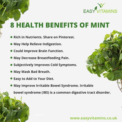 Mint Health Benefits, Mint Benefits Health, Benefits Of Mint Leaves, Healing Goals, Golden Milk Recipe Turmeric, Mint Tea Benefits, Mint Leaves Benefits, Mint Benefits, Herbs Benefits