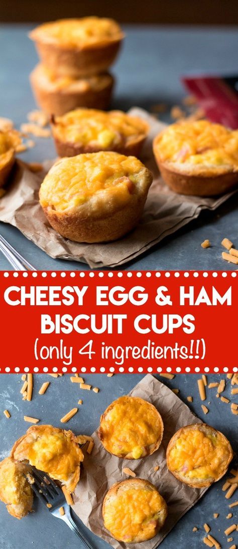 Grand Biscuit Recipes, Ham Biscuits, Egg Muffin Cups, Eggs In Muffin Tin, Biscuit Cups, Egg Biscuits, Ham Breakfast, Pillsbury Biscuits, Egg Cups Breakfast