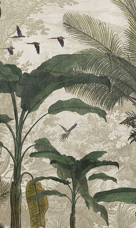 Free Wallpaper Samples, Motifs Art Nouveau, Tropical Illustration, Commercial Wallpaper, Jungle Wallpaper, Tropical Wallpaper, Living Things, Arte Inspo, Home Wallpaper