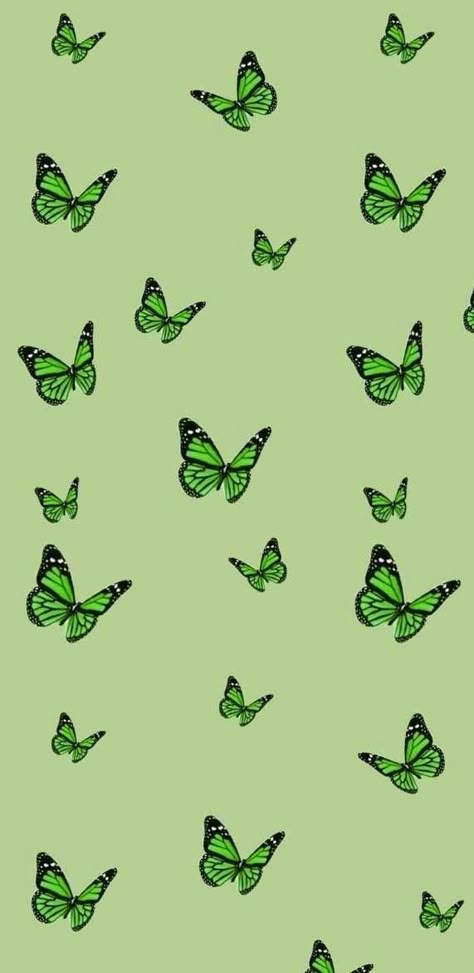 Green Butterfly Wallpaper, Spring Phone Wallpaper, Green Butterflies, Green Wallpapers, Wallpaper Green, Green Butterfly, Butterfly Wallpaper, Green Wallpaper, Green Aesthetic