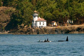 The winners for Best Washington Attraction are in! Click to see the winners for Best Washington Attraction , chosen by the readers of 10Best and USA TODAY. Best Places In The World, Friday Harbor, San Juan Island, Orcas Island, Port Angeles, San Juan Islands, Olympic National Park, North Beach, Whale Watching