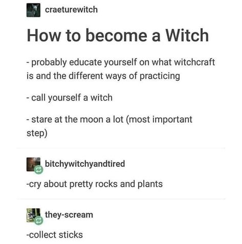 Witch humor How To Be A Witch, Im A Witch, Witch Meme, Become A Witch, Witches Broom, Random Tips, Witchy Tips, Broom Closet, Witch Stuff