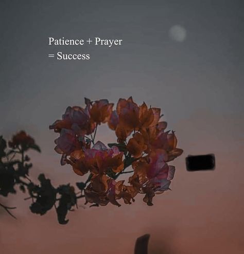 Be patience...u Will be successful Patience Aesthetic, Have Patience Quotes, Prayers For Patience, Quotes About Success, Patience Quotes, Have Patience, Prayer Changes Things, Be Patience, About Success