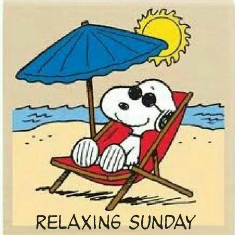 Are'nt Sundays great! Gifs Snoopy, Shabbat Shalom Images, Hello Kitty Imagenes, Lucy Van Pelt, Hello July, Snoopy Cartoon, Snoopy Funny, Charlie Brown Snoopy, Peanuts Cartoon