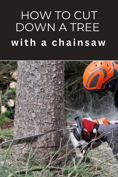 Best Chainsaw, Tree Felling, Farm Stuff, Home Diy Projects, Small Trees, Diy Tips, Autumn Trees, Chainsaw, A Tree