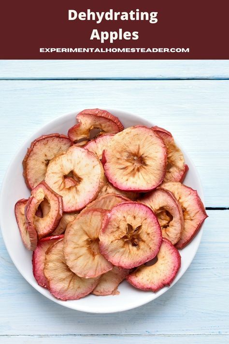 Have you ever wondered about dehydrating apples? Learn how to dehydrate apples, how to store them and why you should dehydrate them. Dehydrate Apples, Dehydrating Apples, Apple Chips Dehydrator, Baked Apple Crisp, Air Fryer Dessert, Dried Apple Chips, Apple Chips Recipe, Easy Baked Apples, Dehydrated Apples