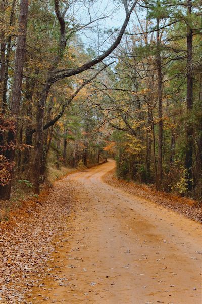 East Texas Red Dirt Road-I, via Flickr.                                                               This may be in Texas, but you can find many of these in the Adirondacks Explore Texas, Country Roads Take Me Home, Texas Girl, Red Dirt, East Texas, Winding Road, Dirt Road, Autumn Scenery, Back Road