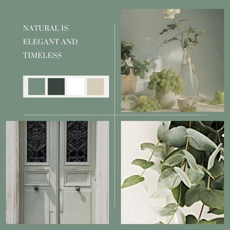 Sage Green Website, Sage Hallway, Sage Mood Board, Sage Green Branding, Business Mood Board, Sage Candles, Sage Green Dark, Green Branding, Aesthetic Business