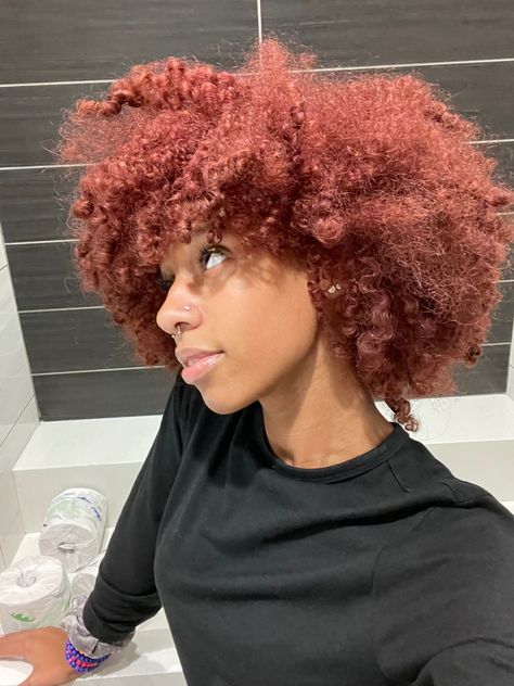 Afro Hair Dye, Dyed Curly Hair, Red Curly Hair, Dyed Hair Inspiration, Colored Curly Hair, Dyed Natural Hair, Protective Hairstyles Braids, Pretty Hair Color, Black Curly Hair