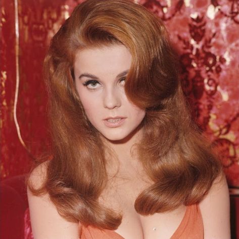 Ann Margaret, Red Portrait, Red Brown Hair, Ann Margret, Hair Icon, Va Va Voom, Blonde Bombshell, Classic Movies, Classic Beauty