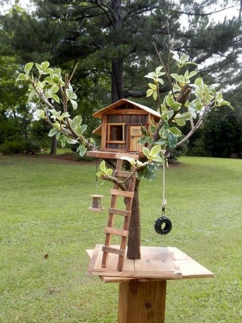 Squirrel Home, Bird Feeder Plans, Squirrel Feeders, Squirrel Feeder, Bird House Feeder, Bird House Plans, Unique Bird Houses, Bird House Kits, Diy Bird Feeder