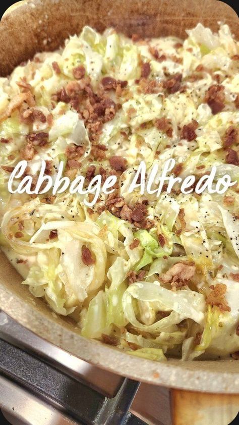 Alese ▪︎ Keto Recipes on Reels | Coi Leray · Players Low Carb Cabbage Alfredo, Creamy Cabbage Alfredo, Keto Cabbage Alfredo, Creamed Cabbage Recipes, Alfredo Cabbage, Copycat Alfredo Sauce, Protein Alfredo, Shredded Cabbage Recipes, Cabbage Alfredo