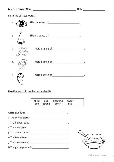 Evs Worksheet, 5 Senses Worksheet, Sensory Organs, Adapted Pe, Five Senses Worksheet, Human Body Worksheets, My Five Senses, Worksheets For Class 1, Kindergarten Reading Worksheets