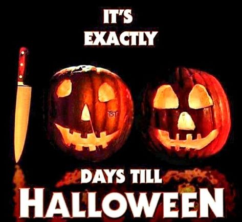 Halloween Rules, Days Till Halloween, Days Until Halloween, Halloween Memes, Halloween Queen, Halloween Countdown, The Boogeyman, Halloween Ii, Michael Myers Halloween