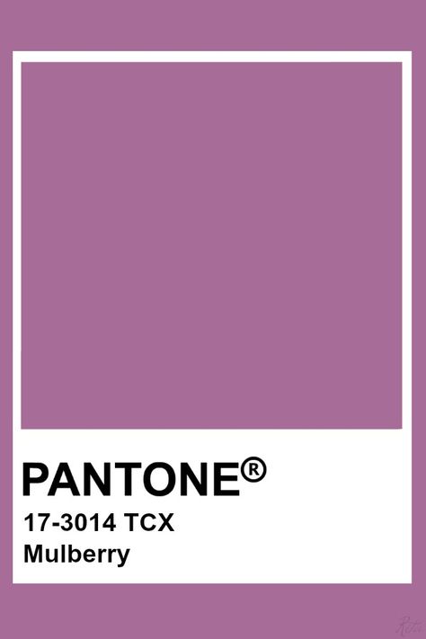 Pantone Mulberry Mulberry Colour Palette, Mulberry Color Palette, Pantone Violet, Pantone Purple, Pantone Tcx, Pantone Colours, Pantone Color Chart, Pantone Swatches, Soft Summer Colors