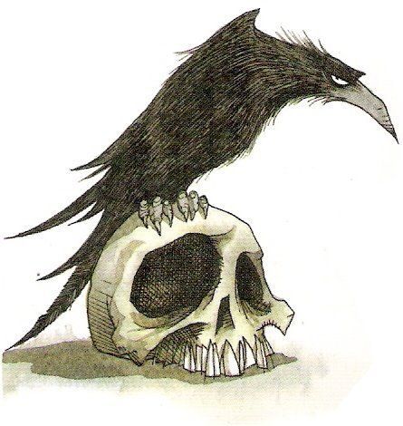 The Raven ~ artist unknown Sif Dark Souls, Crow Tattoo, Raven Tattoo, Crow Art, Raven Art, Raven Skull, Dessin Adorable, Skull Art, A Drawing