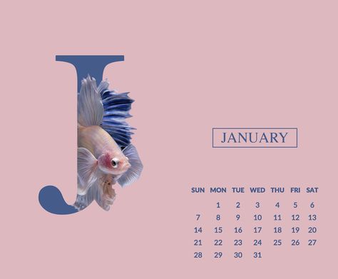 Creative Calendar 2023, 2023 Calender Design, Calender Design Ideas Creative, Calendar Layout Design, Creative Calendar Design, Desktop Calendar Design, Table Calendar Design, Aquarium Table, Calendar Logo