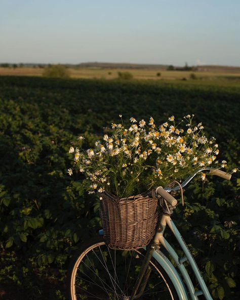 stinaninnas op Instagram: "Mornings here . ." Spring Instagram Aesthetic, Summer Aesthetic Photography, Simple Slow Living, Shekinah Core, Spring Homescreen, Spring Vibes Aesthetic, Farm Aesthetic, Spring Core, Pictures Of Beautiful Places