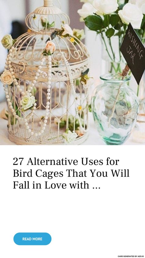 Vintage Bird Cage Decor, Diy Bird Cage, Antique Bird Cages, Bird Cage Centerpiece, Hanging Bird Cage, Plant Succulents, Wedding Birdcage, Lantern Ideas, Bird Cage Decor