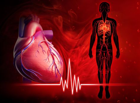 I would NOT have thought this was possible! World's 1st Human Living with a Pump Instead of a Heart Heart Diagram, Penyakit Jantung, Nursing Care Plan, Heart Surgery, Leg Pain, Human Heart, Nursing Care, Good Heart, Care Plans