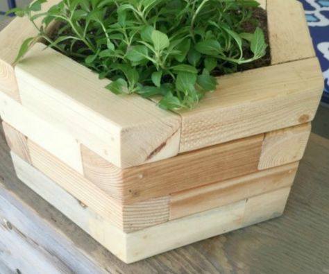 Feat 2x2 Projects, Hexagon Planters For Tabletop Or Wall, Mylove2create 2x2 Wood Projects, Wood Flower Box, 2x2 Wood, Diy Wood Planters, Elevated Planter, Planter Box Plans, Porch Planters, Cedar Planters, Diy Planter Box