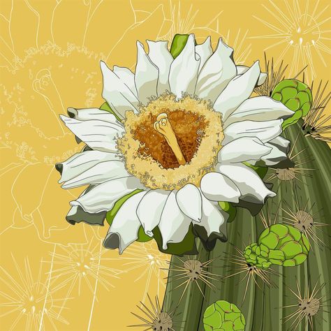 Saguaro Cactus Blossom, Saguaro Flower, Saguaro Blossom, Cactus Mural, Blossom Drawing, Taos Art, Cactus Images, Cactus Paintings, Cactus Blossom