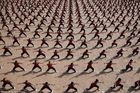 shaolin Shaolin Martial Arts, Shaolin Cowboy, 36 Chambers Of Shaolin, Shaolin Showdown, Shaolin Kung Fu Training, Physical Education Curriculum, Art Timeline, Best Martial Arts, Shaolin Monks