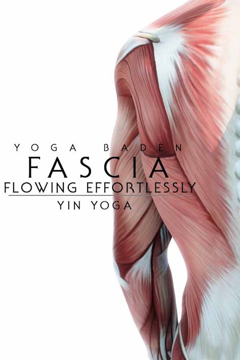 “Feeling good” is one of the most  important goals of our yoga practice, our therapy or training. What is happening in our body & what kind of structures in the body support and influence this form of wellbeing? #fascia #yinyoga #fluidmotion #trainfascia Fascia Yoga, Halasana Benefits, Fascial Release Yoga, Earth Element Yin Yoga, Spinal Waves Yoga, Yoga Inspiration Photos, Yoga Articles, Myofascial Release, Online Yoga Classes